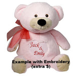 Baby Pink Teddy - EMBELLISHING REQUIRED